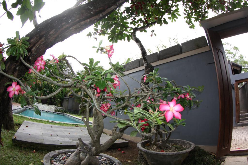 Villa D'Suite Seminyak  Exterior photo
